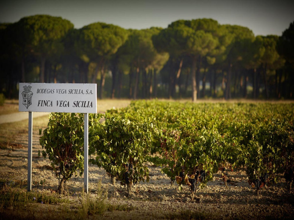 西班牙酒皇 西班牙 酒皇 Bodegas Vega-Sicilia Unico 平古斯 Dominio de Pingus 獨一珍藏 紅酒 貝加西西里亞酒莊 Red Wine 紅酒推薦 Fine Wine Asia  紅酒推介 買紅酒 頂級紅酒 red wine Wine Searcher 上網買酒 紅酒推介