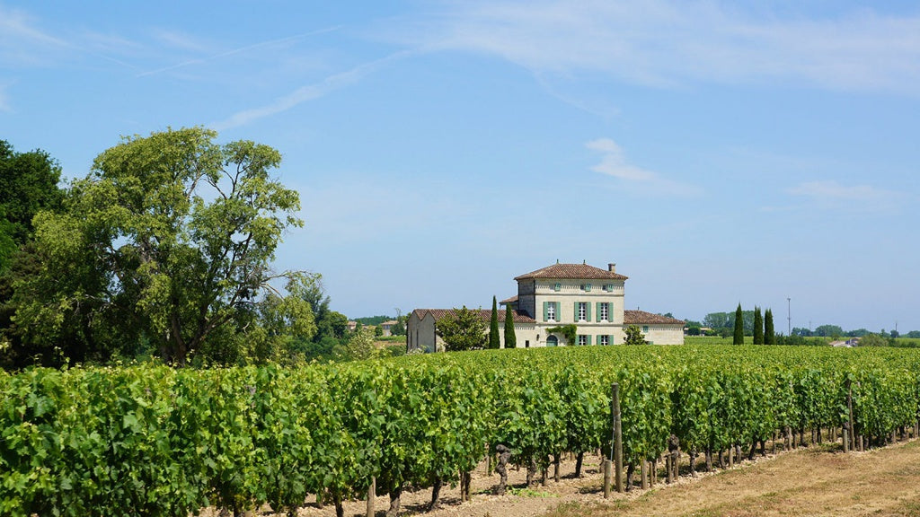 Chateau Hosanna 凱歌酒莊 紅酒推介 買紅酒 頂級紅酒 買紅酒 Red Wine 法國名莊酒 紅酒推薦 Fine Wine Asia 香港買酒網 酒鋪 上網買酒 紅酒價格 紅酒推介