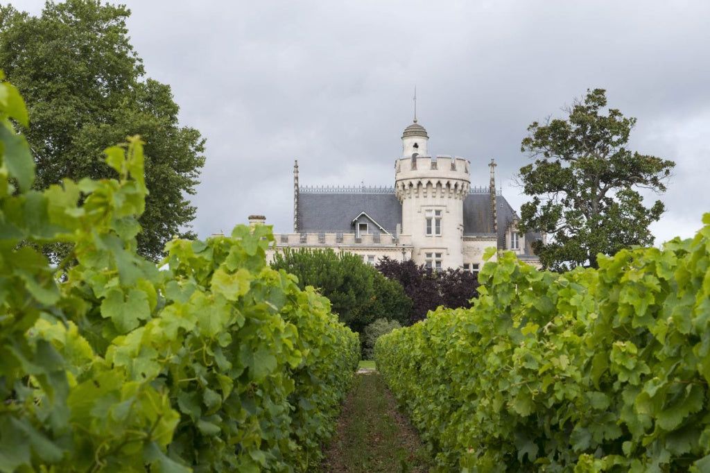 黑教皇 Chateau Pape Clement 買紅酒 Red Wine 紅酒推薦 紅酒推介 頂級紅酒 Fine Wine Asia 法國名莊酒 france red wine Wine Searcher 上網買酒 紅酒價格 紅酒推介 紅酒訂購 紅酒送貨