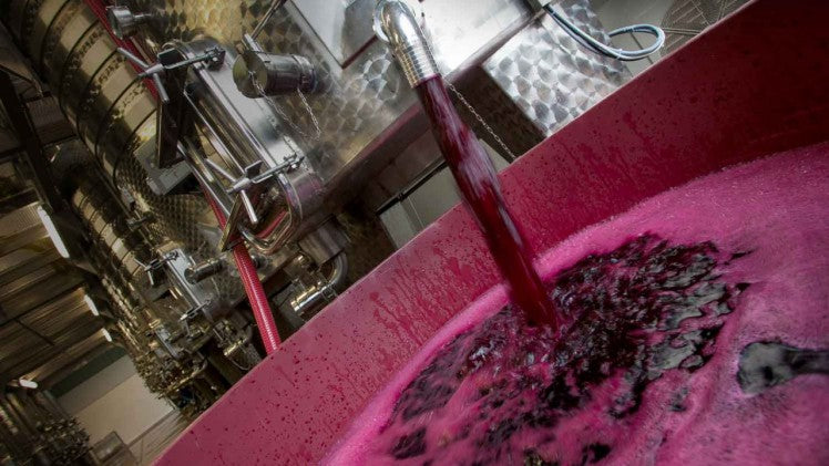 買紅酒 Red Wine 意大利頂級酒莊 頂級紅酒 買紅酒 紅酒推介 香港買酒網 紅酒推薦 意大利得獎酒 紅酒價格