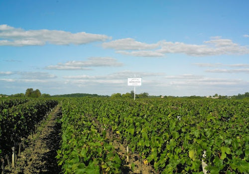 Chateau Hosanna 凱歌酒莊 紅酒推介 買紅酒 頂級紅酒 買紅酒 Red Wine 法國名莊酒 紅酒推薦 Fine Wine Asia 香港買酒網 酒鋪 上網買酒 紅酒價格 紅酒推介