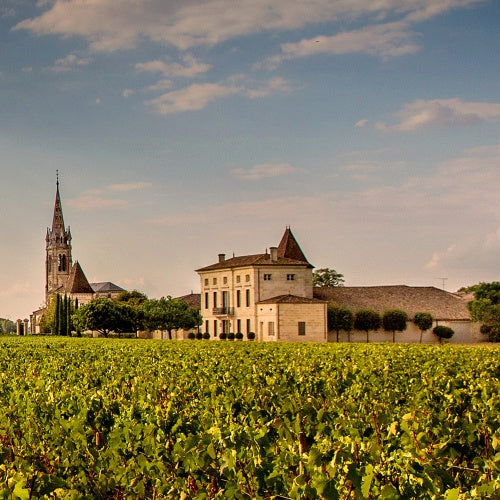 柏翠之花酒莊 Chateau La Fleur-Petrus 紅酒推介 買紅酒 頂級紅酒 買紅酒 Red Wine 法國名莊酒 紅酒推薦 Fine Wine Asia 香港買酒網 酒鋪 上網買酒 紅酒價格 紅酒推介