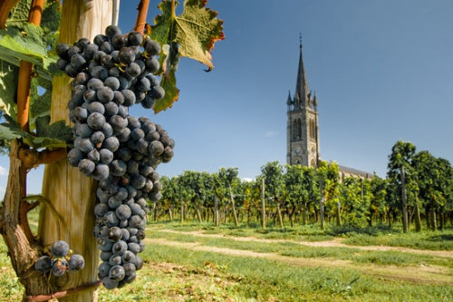 Vieux Chateau Certan 老色丹酒莊 買紅酒 Red Wine 紅酒推薦 紅酒推介 頂級紅酒 Fine Wine Asia 法國名莊酒 france red wine Wine Searcher 上網買酒 紅酒價格 紅酒推介 紅酒訂購 紅酒送貨