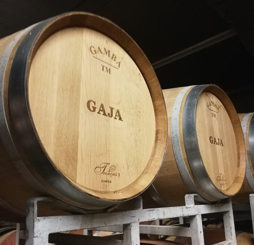 嘉雅酒莊 Gaja 買紅酒 Red Wine 紅酒推薦 Fine Wine Asia 意大利名莊酒 紅酒推介 買紅酒 頂級紅酒 Italian red wine Wine Searcher 上網買酒 紅酒推介