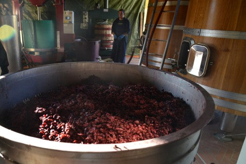 買紅酒 Red Wine, Fine Wine Asia, 法國名莊酒, france red wine, 波爾多1855, 波爾多, Bordeaux Wines, 香港買酒網, 酒鋪, 上網買酒, 紅酒價格, 紅酒推介, 紅酒訂購, 紅酒送貨