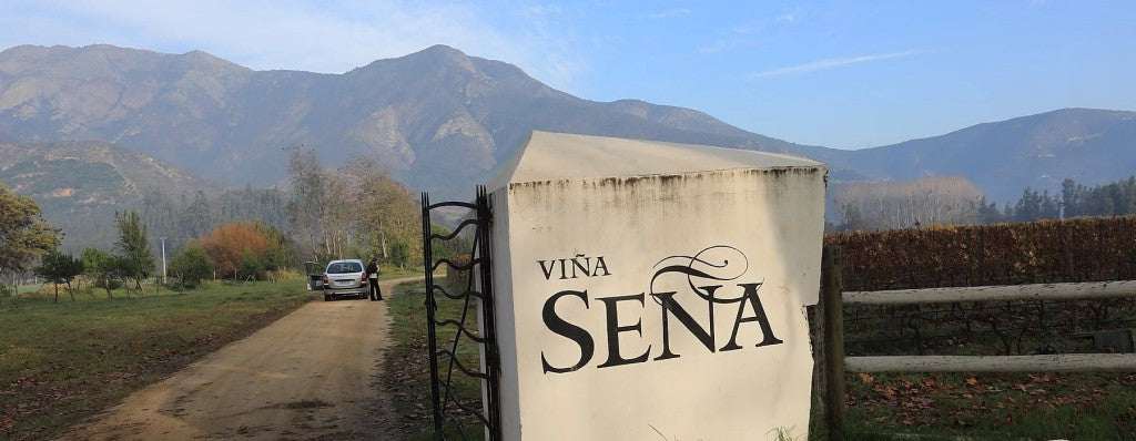 Sena, 桑雅, 買紅酒, Red Wine, Fine Wine Asia, 意大利得獎酒, italian red wine, Wine Searcher, 紅酒推介, 頂級紅酒, 紅酒送貨